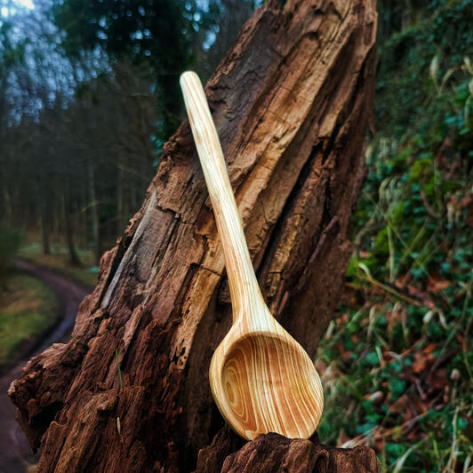 double measurer a circular straight measuring spoon rests on a decaying log with a woodland path visible in the distant background